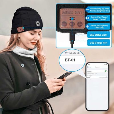 Eislauf, den kampierenden Hund wandernd, der Hut-Taschenlampen-Musik-Play-back Bluetooths LED geht